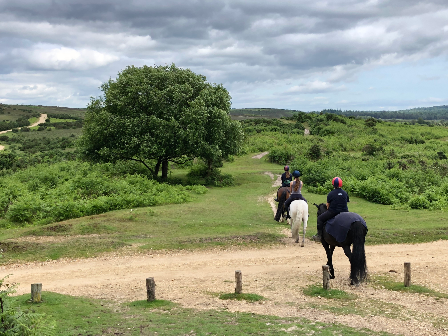 Family Riding in New Forest